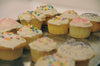 KETO Vanilla Protein Cupcakes